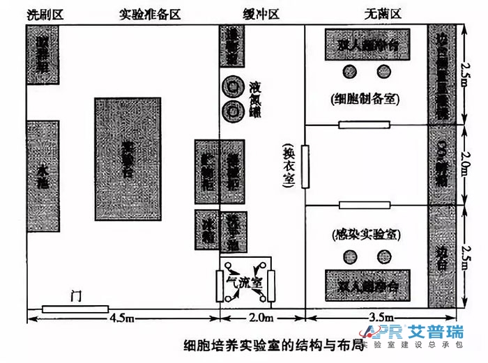 細胞培養(yǎng)實驗室的機構(gòu)與布局