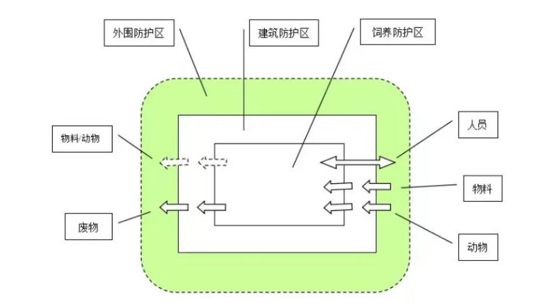 動物實驗中心之動物房建設流程及注意事項