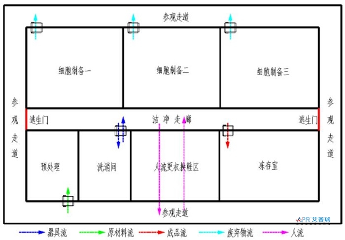 干細胞實驗室布局怎么設計？